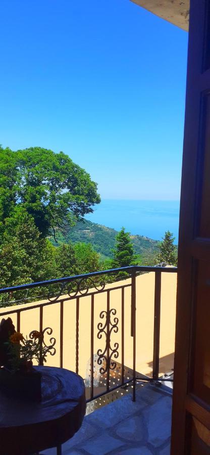Golden Mountain ξενώνας Ανήλιο Πηλίου Εξωτερικό φωτογραφία