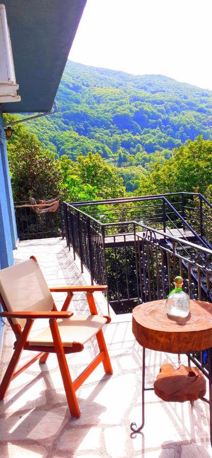 Golden Mountain ξενώνας Ανήλιο Πηλίου Εξωτερικό φωτογραφία